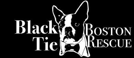 Black Tie Boston Rescue, Inc